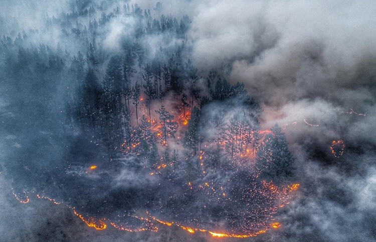 Пожары в Сибири могут привести к экологической катастрофе