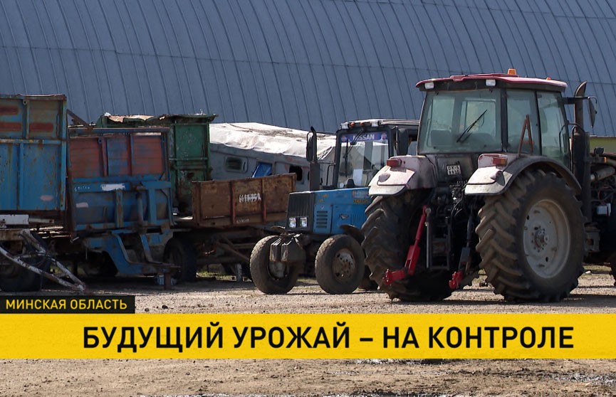 Урожай на контроле: за ходом посевной следят в КГК Беларуси