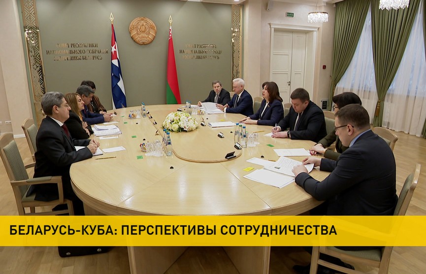 Перспективы сотрудничества Беларуси и Кубы обсудили в Совете Республике