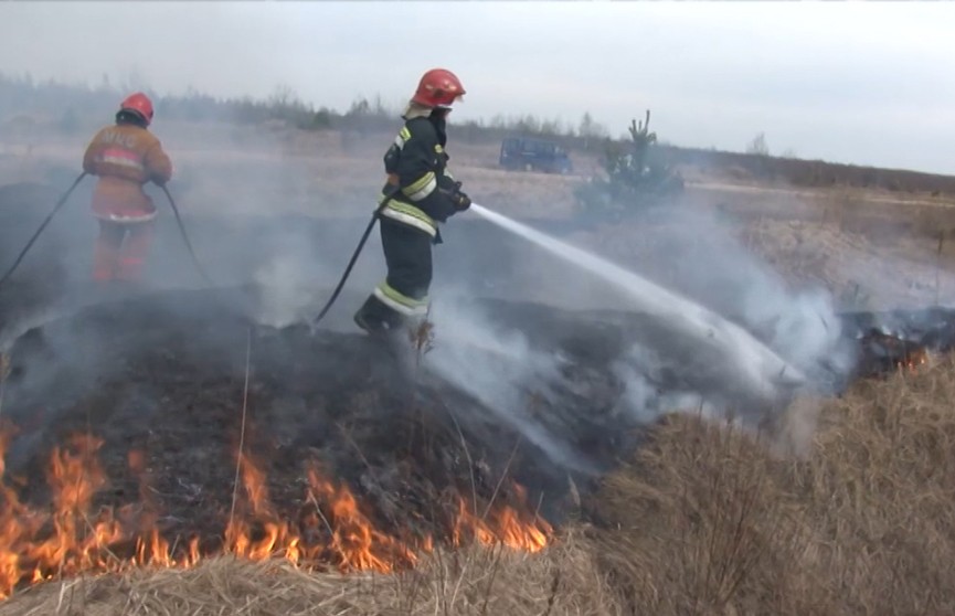 За минувшие сутки в экосистемах Беларуси произошли 93 пожара