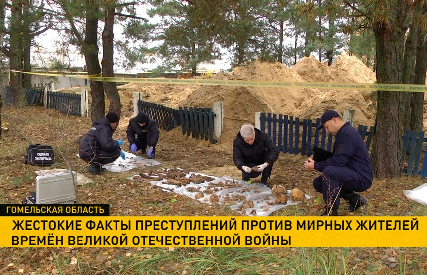В Петрикове обнаружена братская могила времен Великой Отечественной войны
