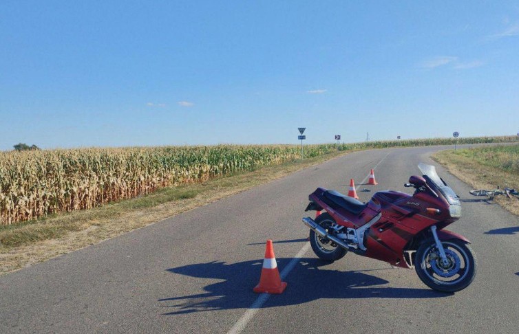 Два велосипедиста пострадали в ДТП в Брестской области