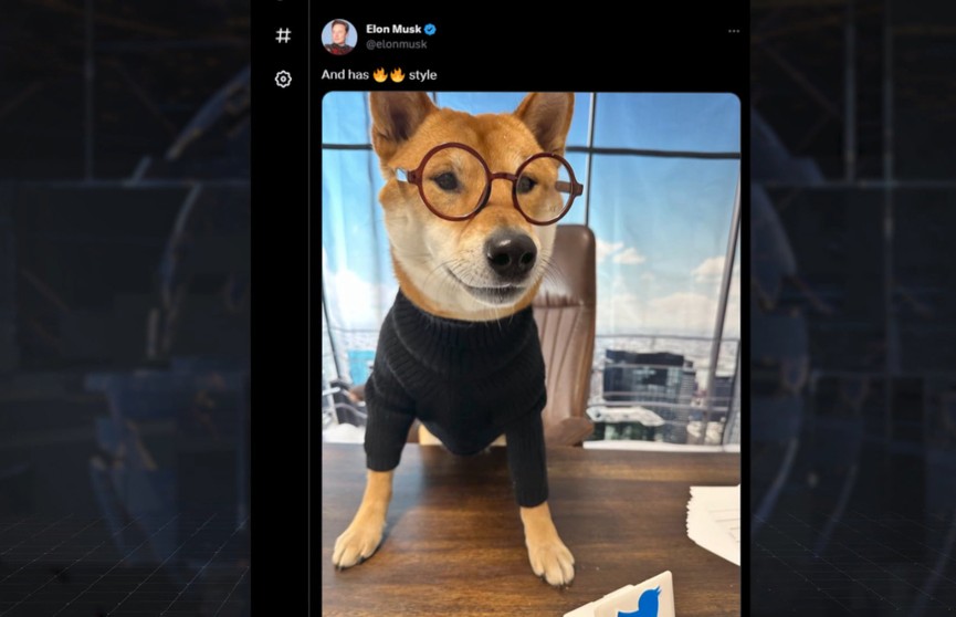 Илон Маск назначил гендиректором Twitter собаку