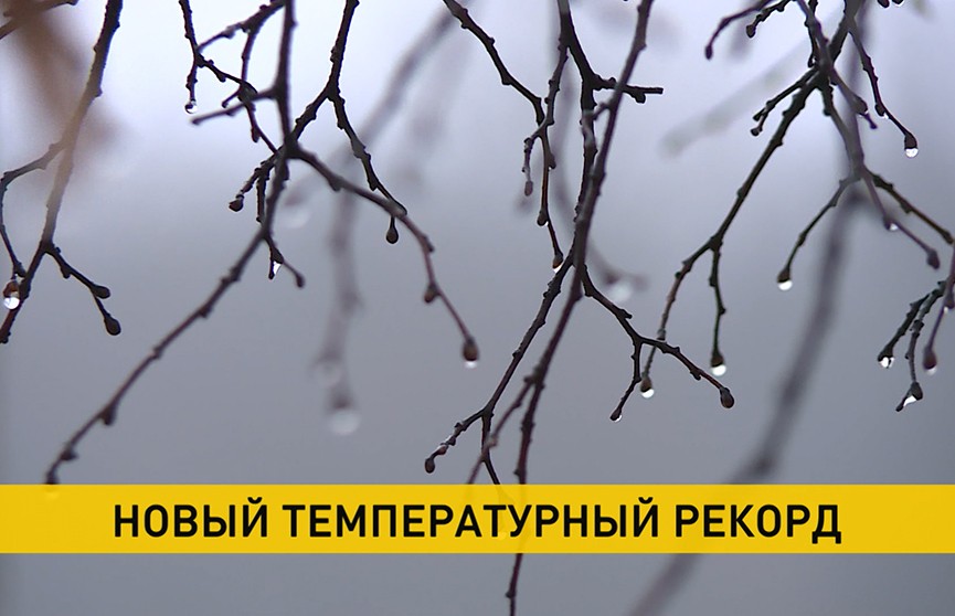 Декабрь обновляет температурные максимумы по всей Беларуси