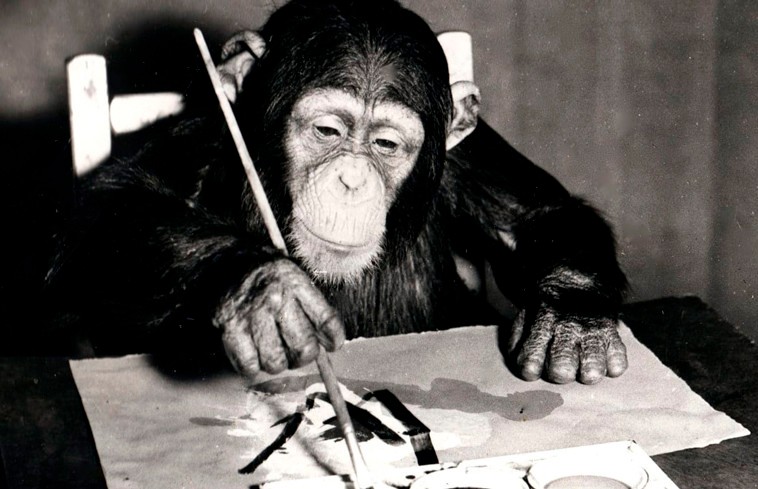 Картины шимпанзе продадут за $250 тыс.