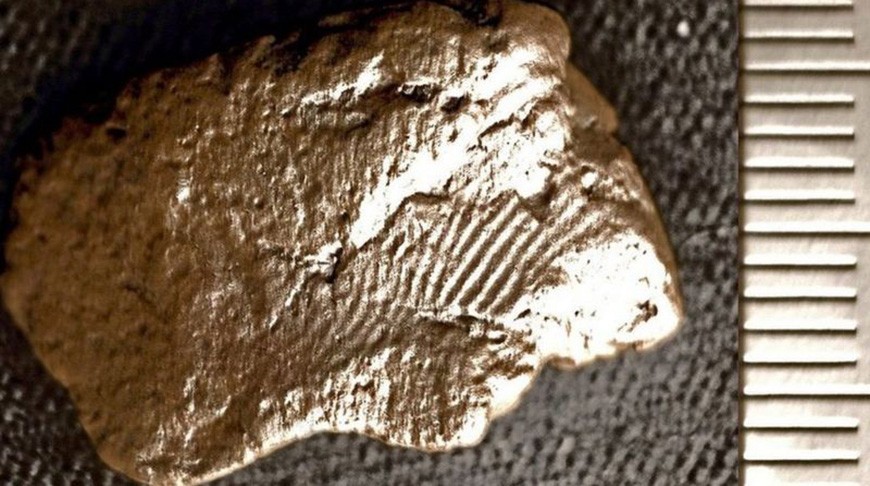 Отпечаток пальца гончара давностью пять тысяч лет обнаружили в Великобритании