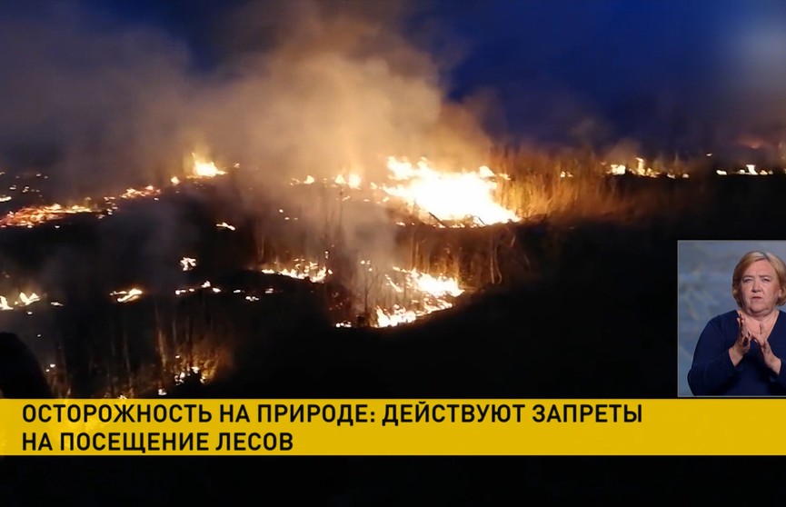 В Беларуси продолжают действовать запреты и ограничения на посещение лесов