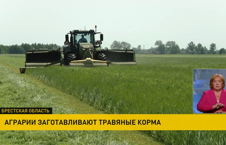 В Беларуси аграрии заготавливают травяные корма