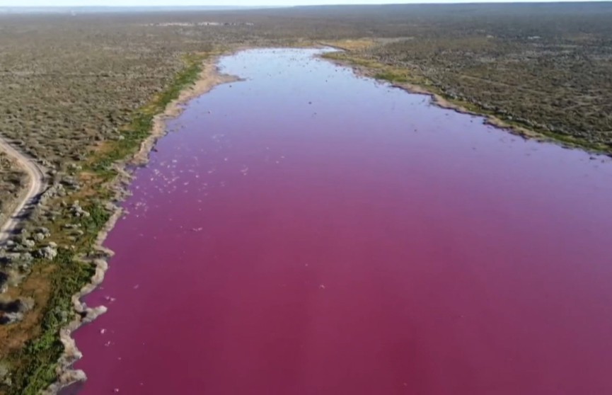 Вода цвета фуксии: озеро на юге Аргентины поменяло цвет
