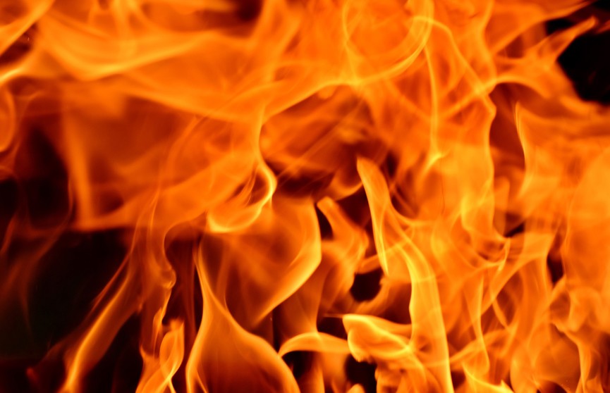 На пожаре в Осиповичском районе погибли 19 телят