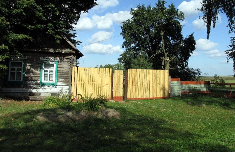 Мужчина задушил многодетную мать и закопал её труп в собственном дворе в Жлобинском районе