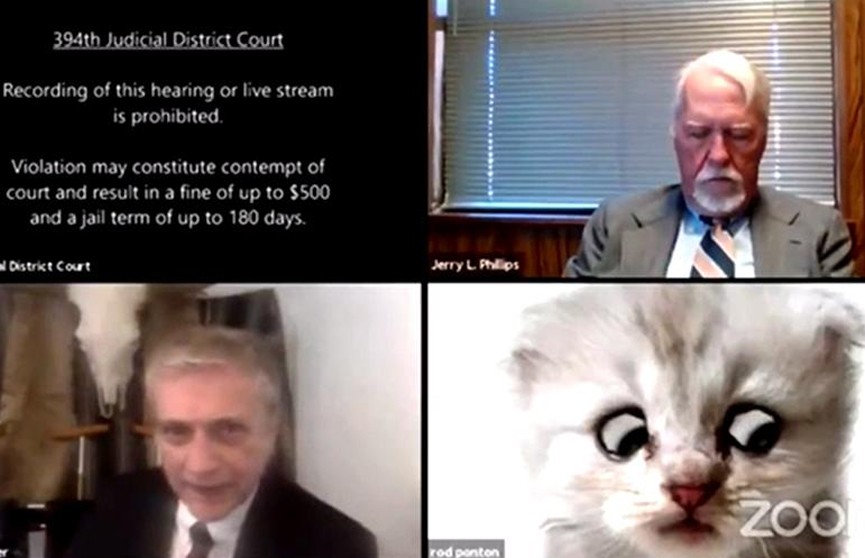 Адвокат из Техаса не справился с Zoom и предстал в суде в образе кота