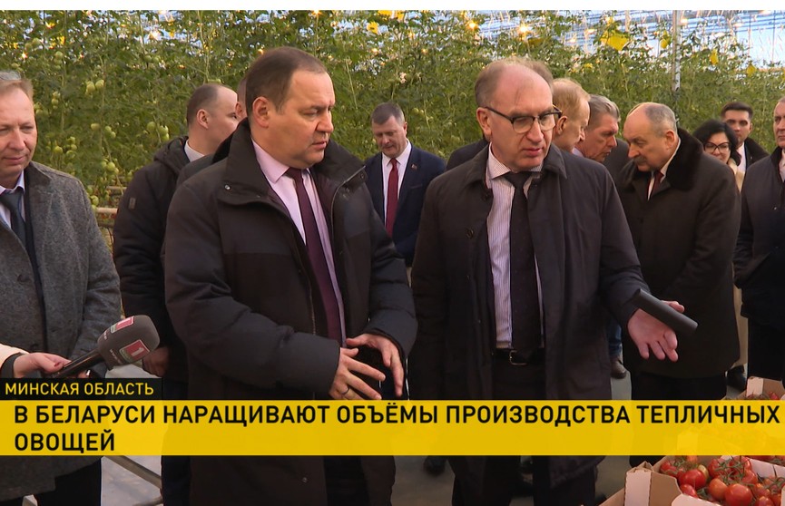 Роман Головченко посетил тепличное хозяйство «ДорОрс»