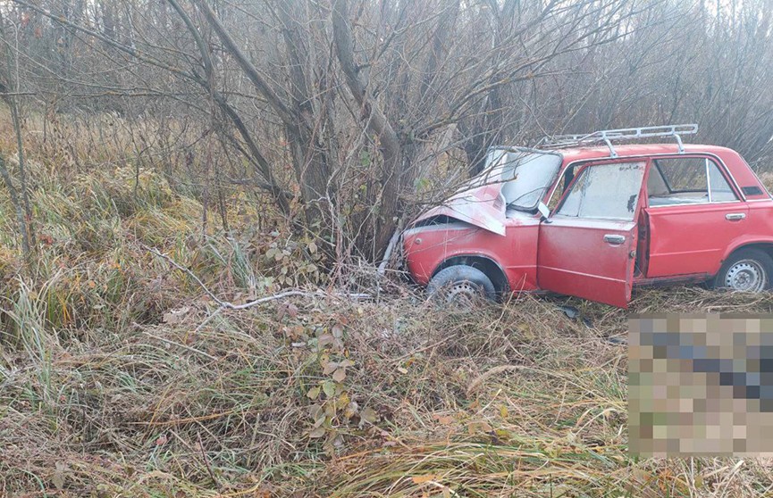 Стало плохо. В Гомельском районе 81-летний водитель врезался в дерево и погиб