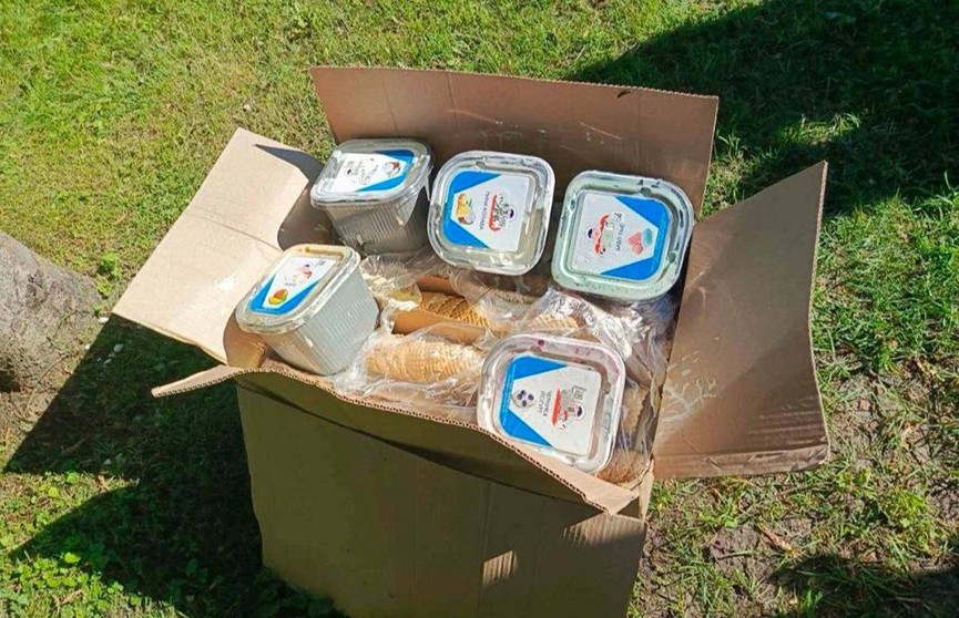 Подростки украли из торговой точки в Брестской крепости 5 кило мороженого