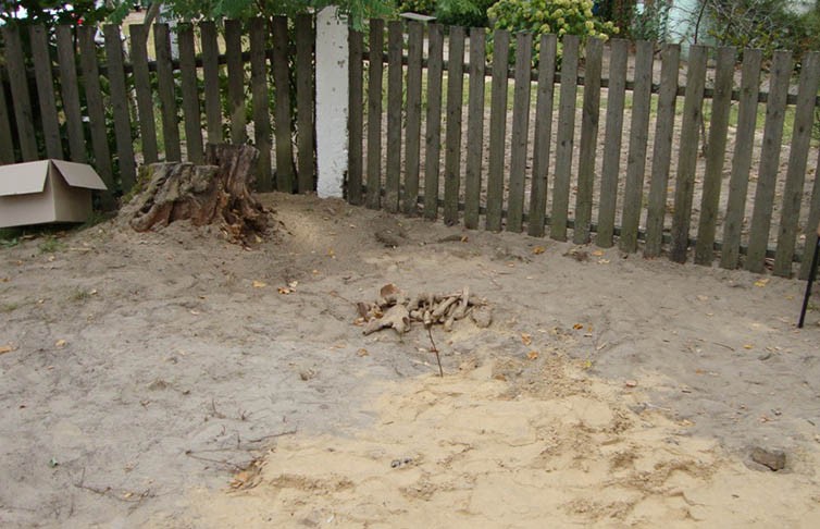 Человеческие останки обнаружили на школьном дворе в Лунинецком районе