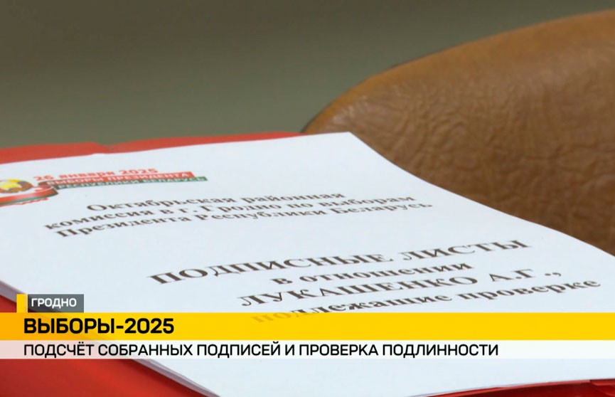 Территориальные комиссии приступили к подсчету подписей избирателей и проверке их подлинности