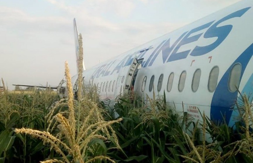 Самолет совершил аварийную посадку в подмосковном Жуковском: в оба двигателя попали птицы