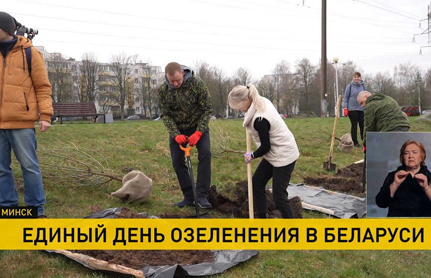 Единый день озеленения в Беларуси собрал более 10 тысяч участников