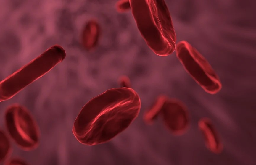 Можно ли предсказать болезнь по группе крови?