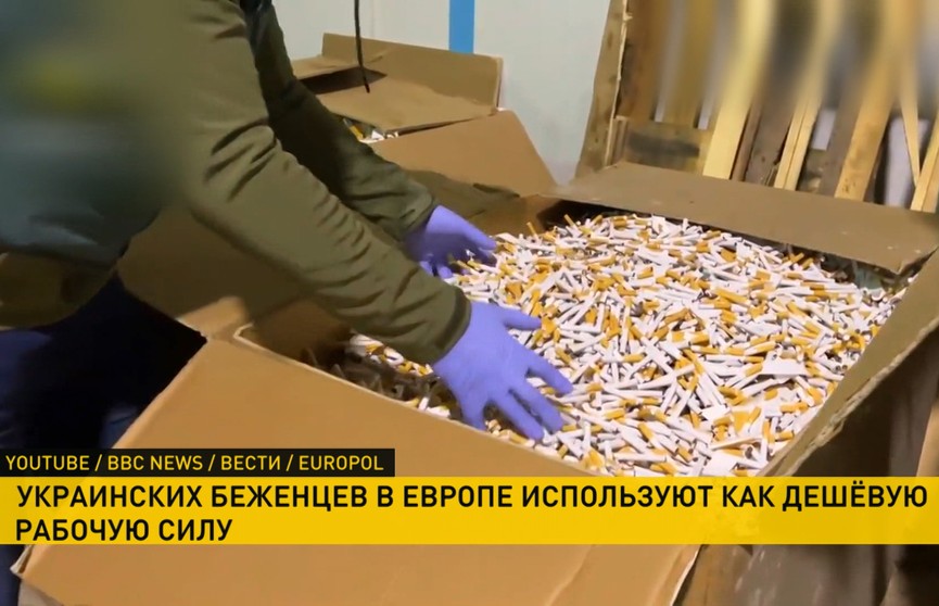 Bild: в Испании украинцев использовали на производстве контрафактных сигарет