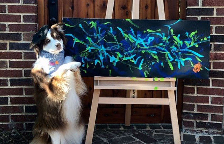 Собака научилась писать картины и заработала на них $20 тысяч