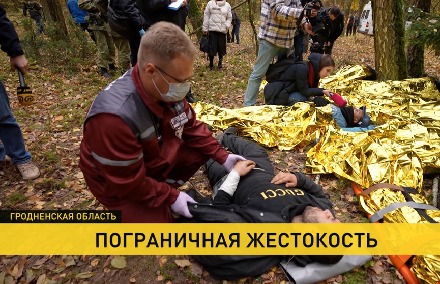 В Гродненской области пограничники обнаружили беженцев, которых польские силовики избили и затравили собаками