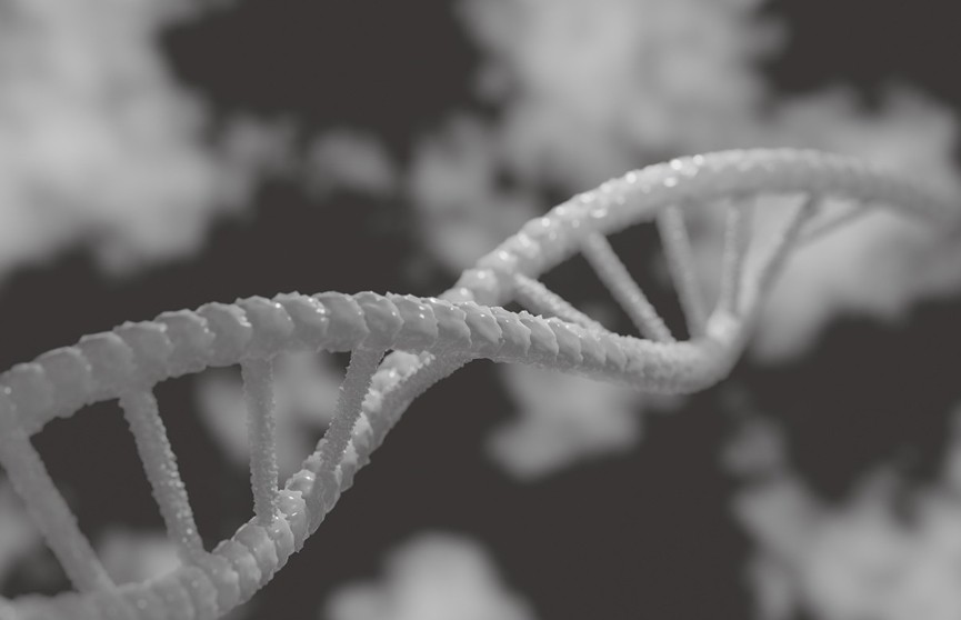 РНК впервые в истории выделили из останков вымершего животного