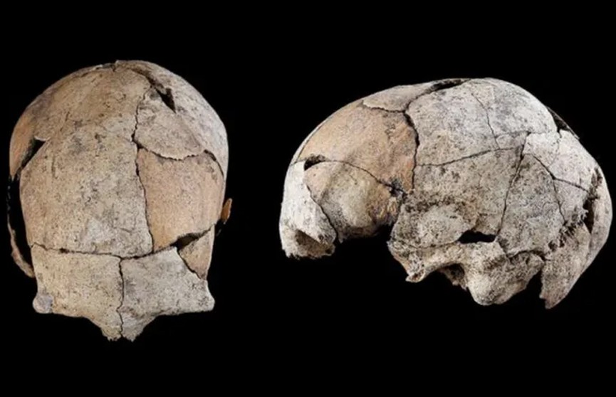 Археологи нашли 5300-летний череп со следами древнейшей хирургической операции на ухе