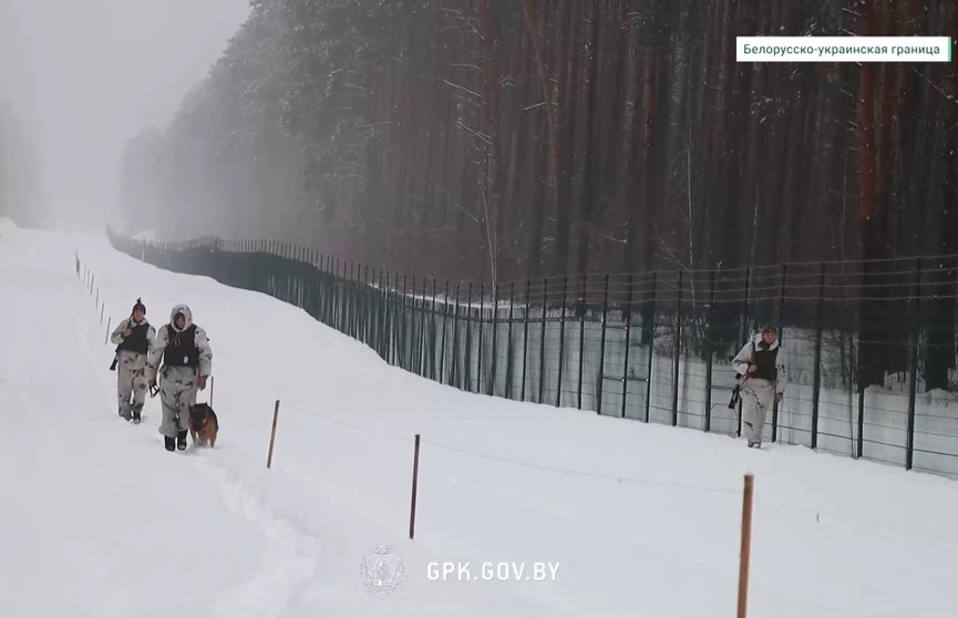 Трое сотрудников погранслужбы Литвы пытались силой выдворить группу беженцев на территорию Беларуси