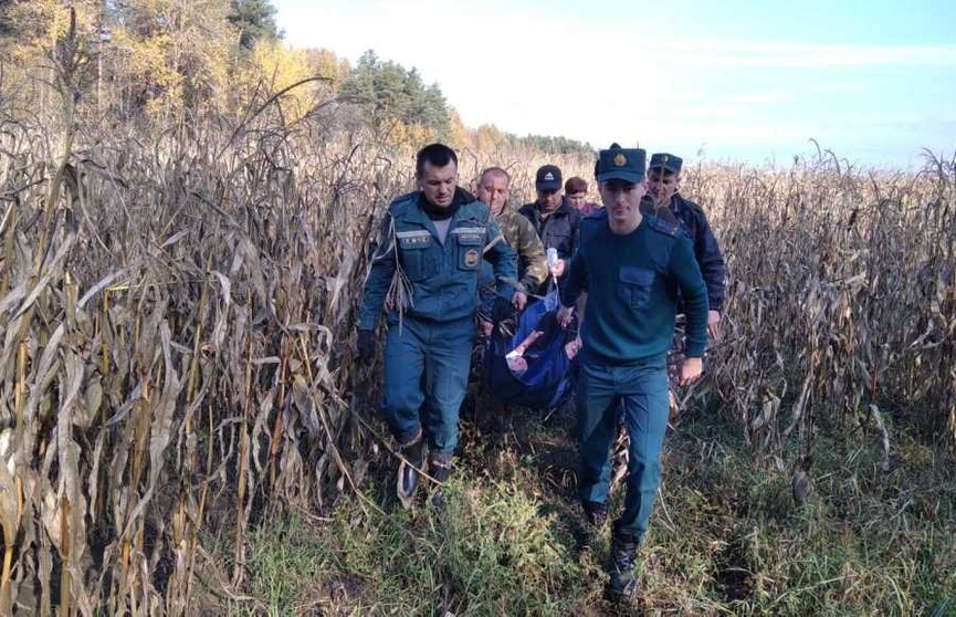 В Глусском районе старушка пошла в лес за грибами и провела там 4 ночи