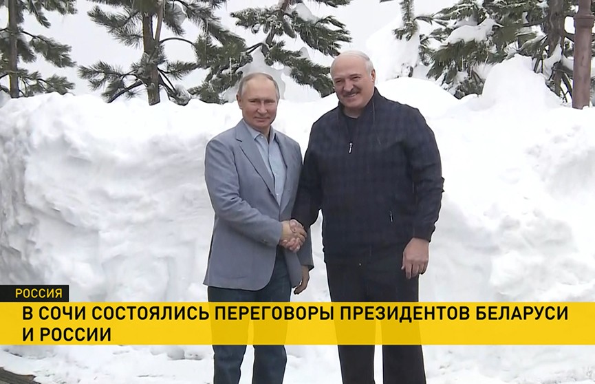 Интеграция, экономика, медицина. О чем говорили Александр Лукашенко и Владимир Путин на встрече в Сочи?