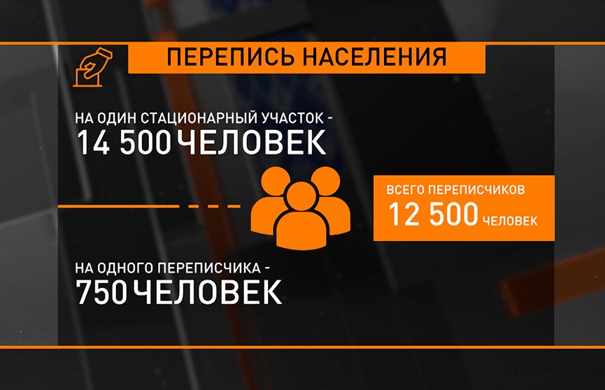 Перепись населения-2019: с 1 по 6 ноября специалисты повторно придут к белорусам