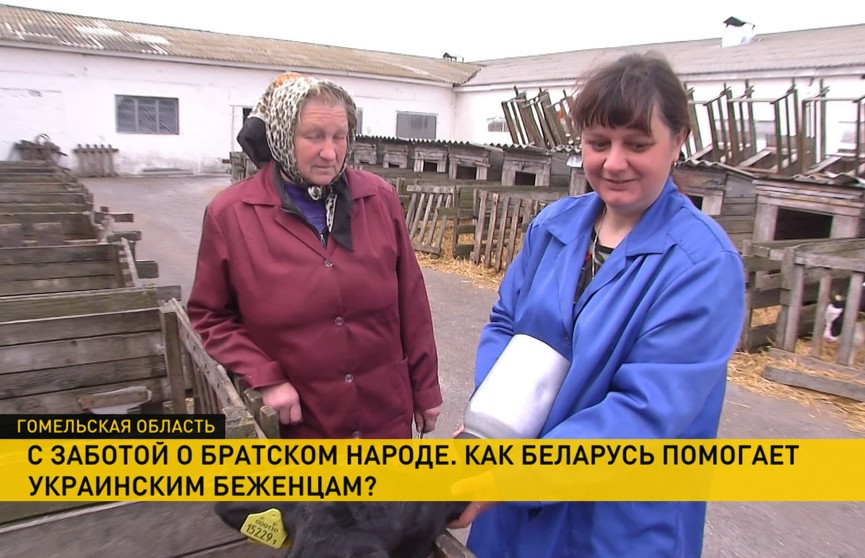 Как живут украинские беженцы в Беларуси? Санаторий, свой дом и рука помощи – каждому!