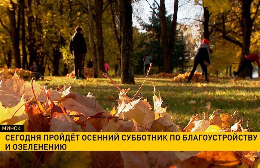9 октября в Минске проходит осенний субботник