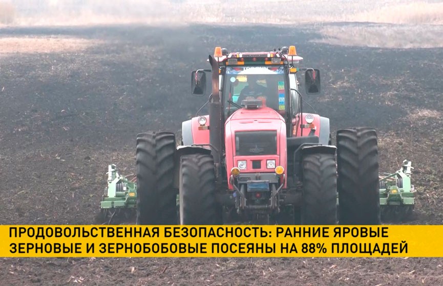 Ранние яровые зерновые и зернобобовые посеяны на 88% аграрных площадей Беларуси