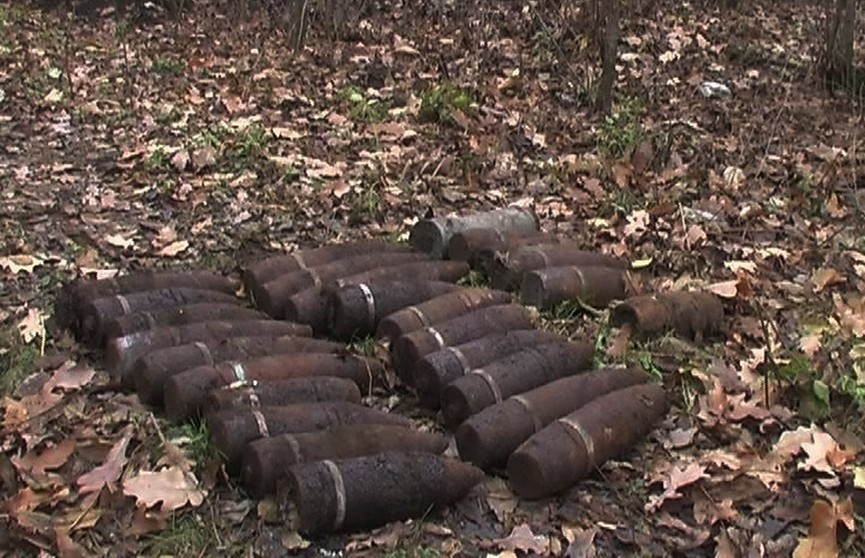 Боевые снаряды нашли в Оршанском районе