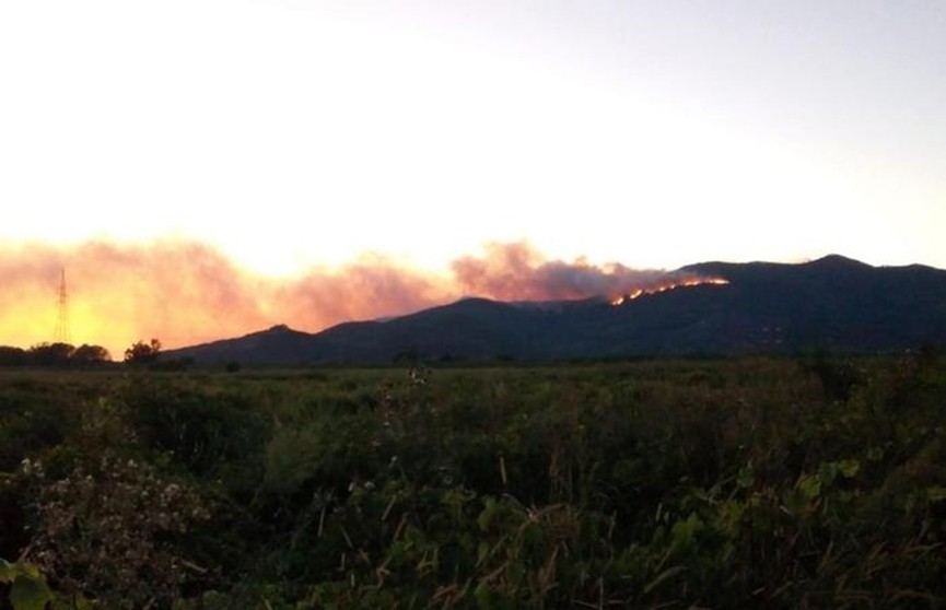 Лесные пожары охватили север Италии