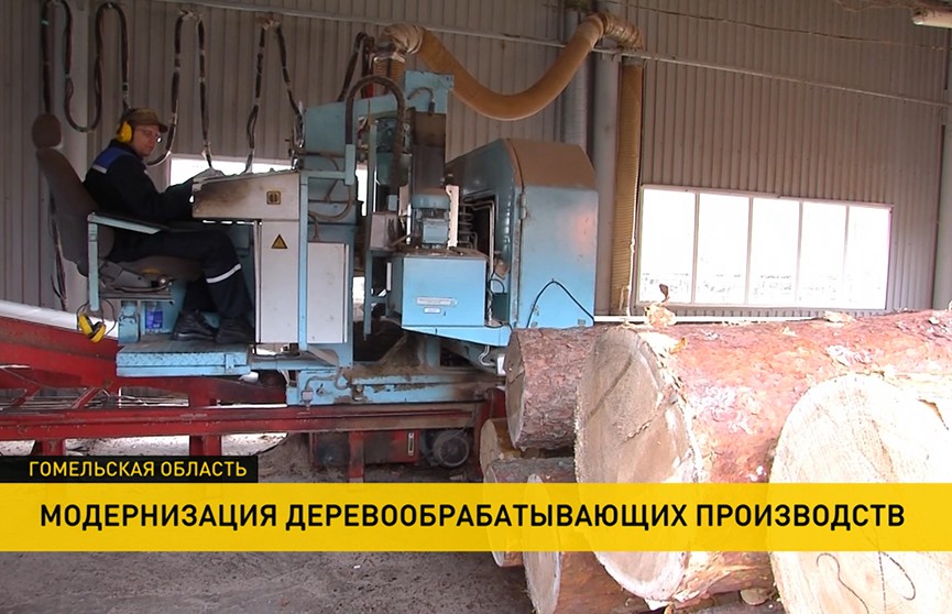 Деревообработка в Беларуси: как модернизуют производства?