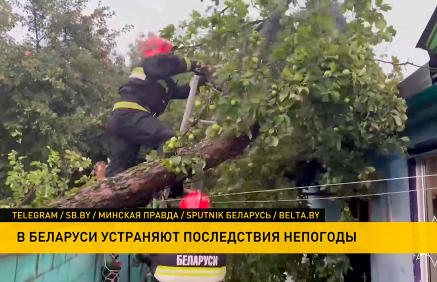 Разрушенные дома и оборванные линии электропередачи: в Беларуси устраняют последствия мощного урагана