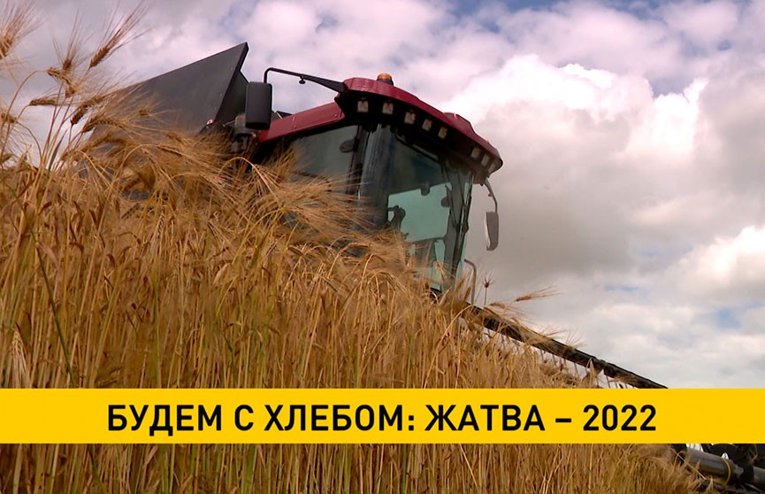 Уборочная-2022: намолочено порядка 250 тыс. тонн зерна