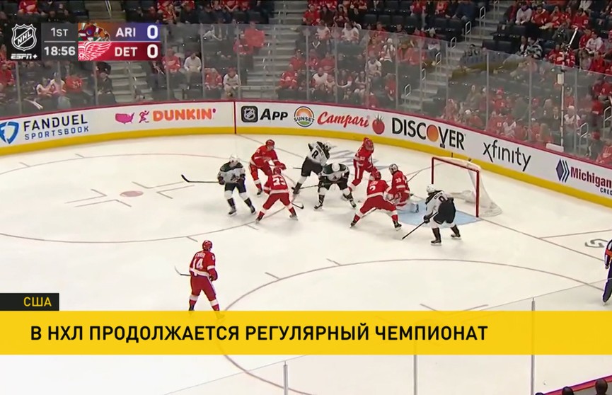 Как выступают белорусы в НХЛ?