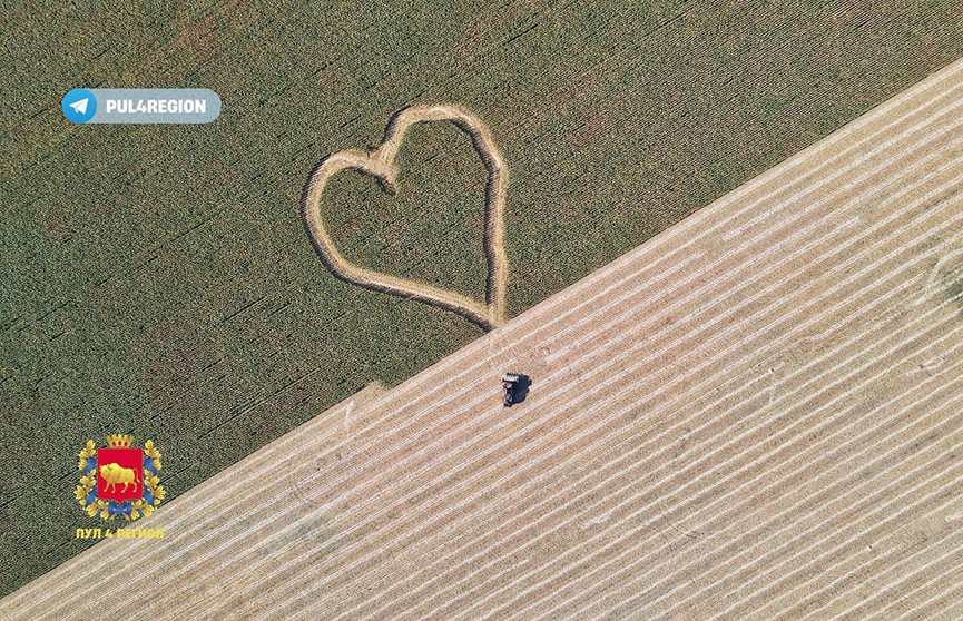 На кукурузном поле под Дятлово создали 100-метровое сердце