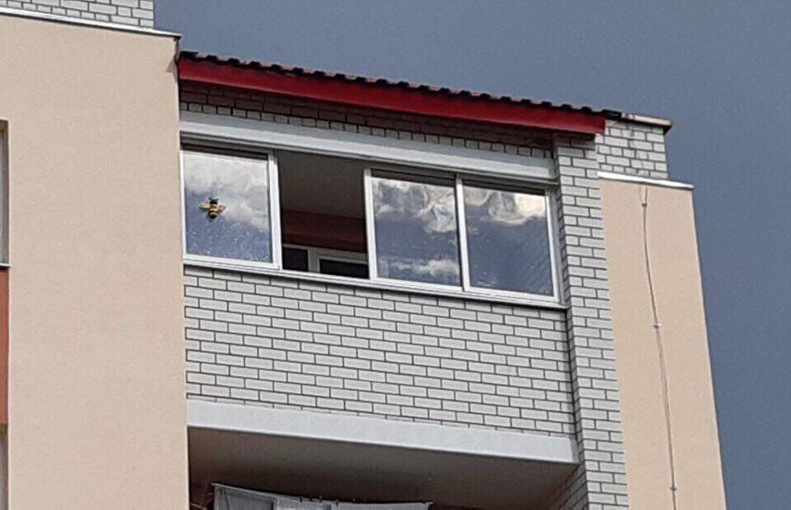 В Берёзе 35-летний мужчина выпал из окна пятого этажа и выжил