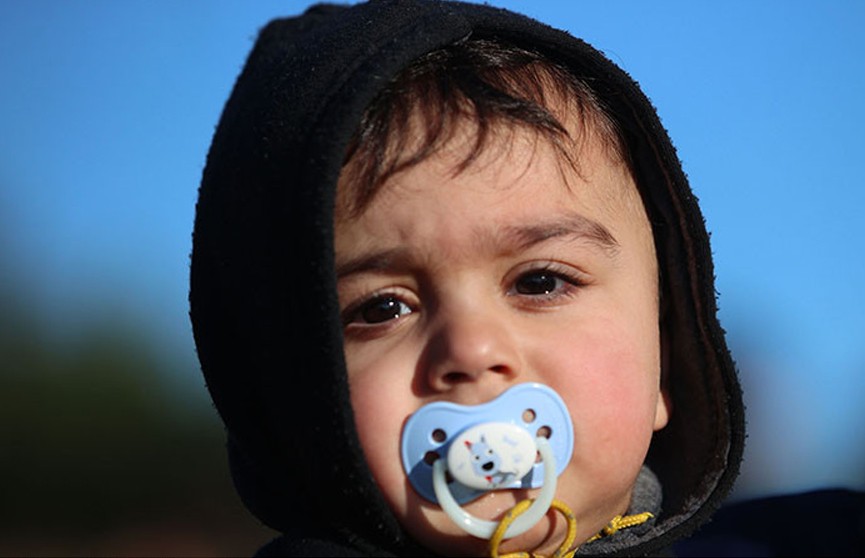 Гигин: все слова поляков о правах человека и демократии смыла слеза замерзающего в лесу курдского ребенка