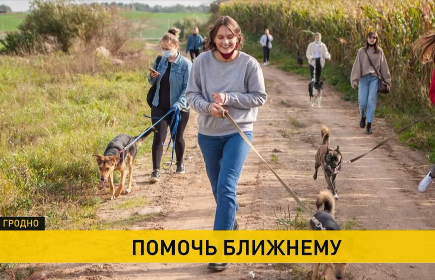 В Беларуси отмечают Международный день добровольцев. Кто работает безвозмездно по зову сердца – в репортаже ОНТ