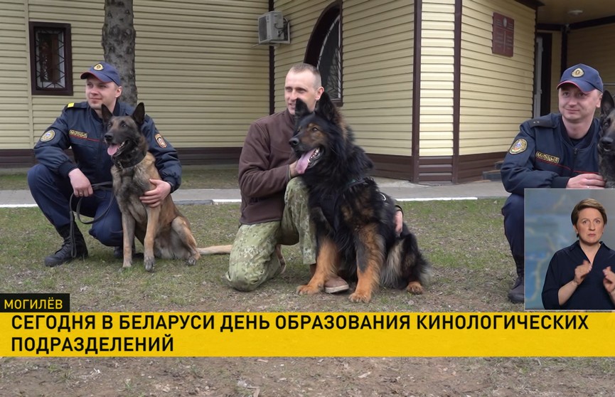 21 апреля в Беларуси отмечается День образования кинологических подразделений