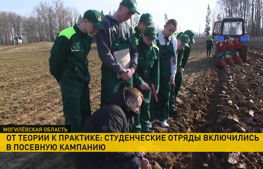 Студотряды Белорусской сельхозакадемии помогают в посевной в Могилевском районе: как работается ребятам на земле?