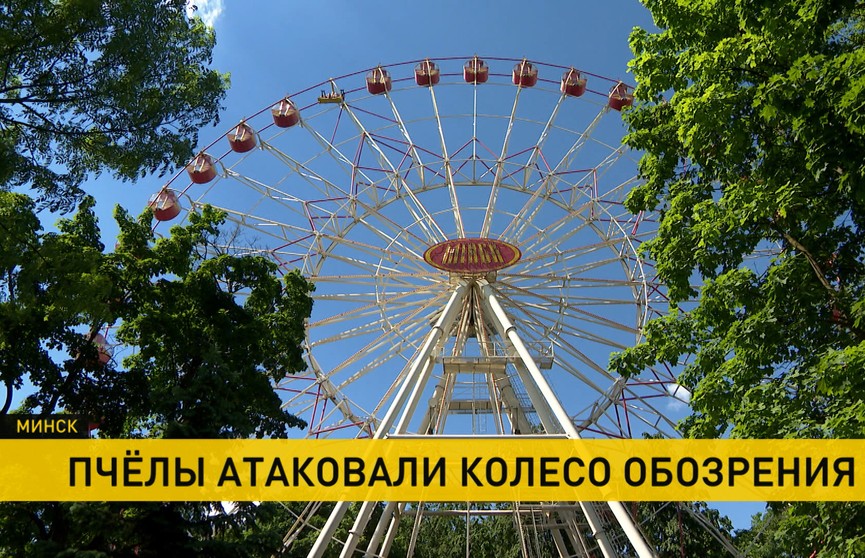 Колесо обозрения в столичном парке Горького атаковали пчелы
