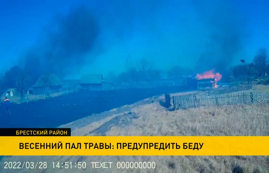 Весенний пал травы стал причиной масштабного пожара в деревне Рогозно на Брестчине